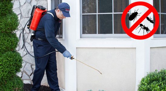 Keçiören Hamam Böceği İlaçlama böcek ilaçlama ve haşere kontrolü — ilaclama-tr.com